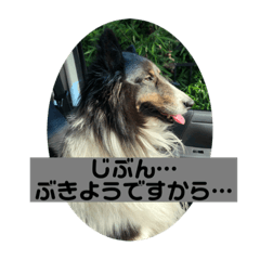 yukari_20210603232320