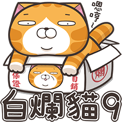 Lan Lan Cat 9