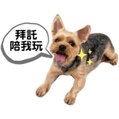 Kiki有話說