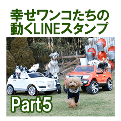 Happiness dogs' moving LINE stickers 5