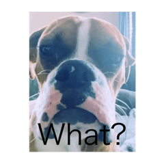 Arisa_20210604124634