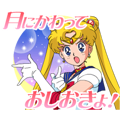 Pretty Guardian Sailor Moon (Animated)