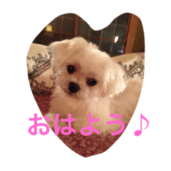 koharu&coco