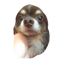 Johnta