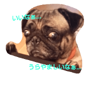 Feeling of BUNTA 2