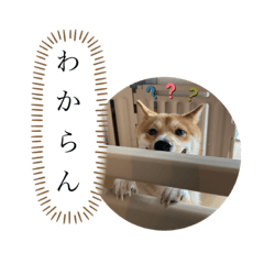 chihiro_20210604094636