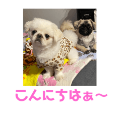 miki_20210604111512