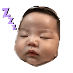 hikari_20210604113354