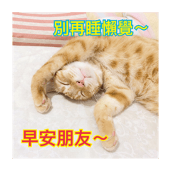彰化山線寶哥