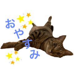 chisa_20210604140542