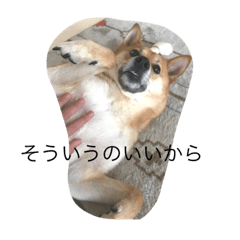 aozora_20210604161921