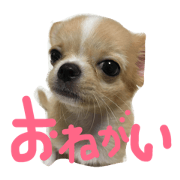 I'm Sumomo!!