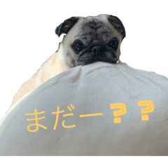 smile_20210604182935