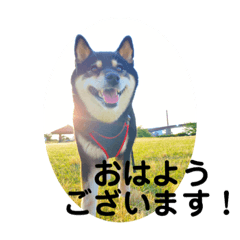 kinpei_20210604132815