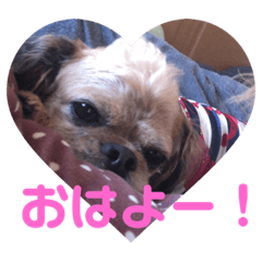 Rina_20210604194400
