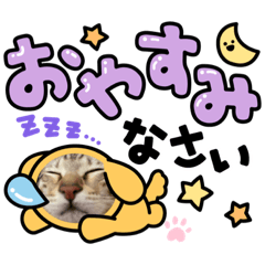 RISA_20210604195856