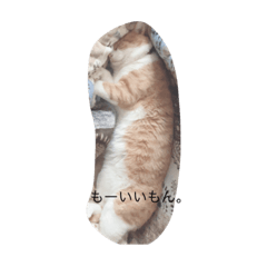 chi_20210604202609
