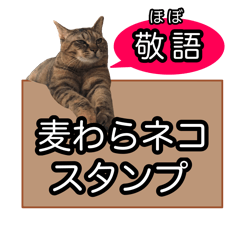 mugiwara-cat honorifics sticker