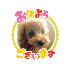 kaori_20210604202942
