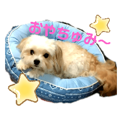 saori_20210604214623