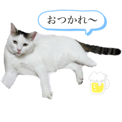 chie_20210604220029