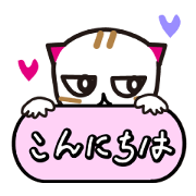 Charming cat with powerful eyes Charming cat with powerful eyes