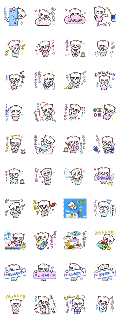 Charming cat with powerful eyes Charming cat with powerful eyes