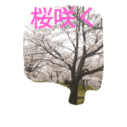 Season of a memory Season of a memory