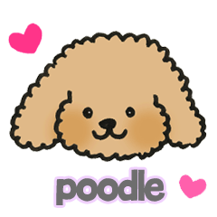 Poodle everyday use sticker