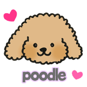 Poodle everyday use sticker Poodle everyday use sticker