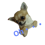 l love Chihuahua 2. l love Chihuahua 2.