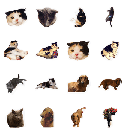 hanachankuumomota hanachankuumomota