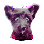 maro&mimis life maro&mimis life