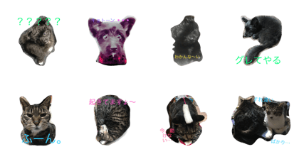 maro&mimis life maro&mimis life