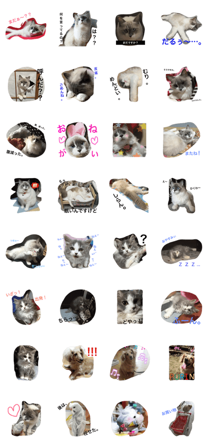 runa&friend runa&friend