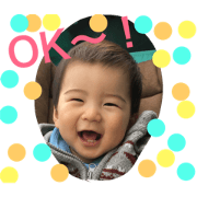 Hello Haru Hello Haru