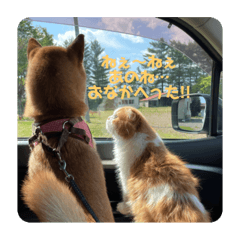 MIYUU_20210605012822