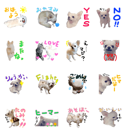 Chihuachs Sticker Chihuachs Sticker