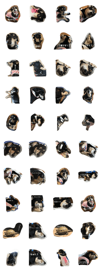 Coo-chan's daily life Coo-chan's daily life