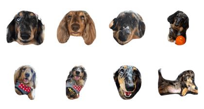 rotamalibu rotamalibu