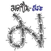 font of Thailand ver.ant 2 font of Thailand ver.ant 2