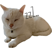 White Cat "Pii" White Cat "Pii"