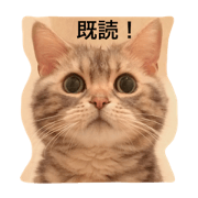 Kinagomu-Nikki Kinagomu-Nikki