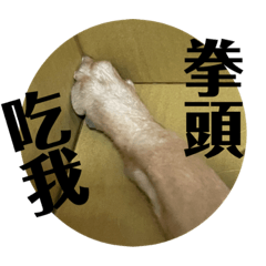 馬尼小朋友