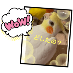 yuto_20210605104346
