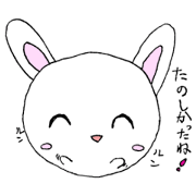 white circle rabbit white circle rabbit