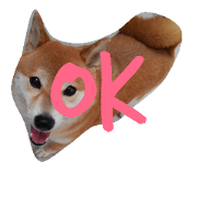 shibakennomomochan shibakennomomochan