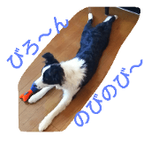 sousuke is beautiful day