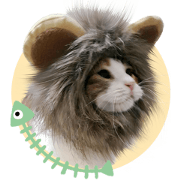 Special Edition - Cat