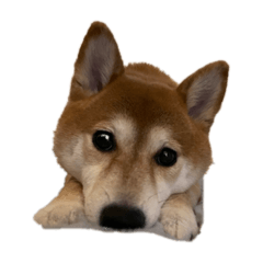 SATOSHI_20210604201754